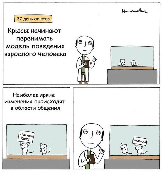 567x604, 60 Kb / Крысы, учёный, Xbox, пидрила, опыты