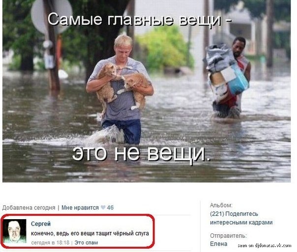 604x514, 70 Kb / слуга, тентаклик, камент, черный, главное, вещи, коты