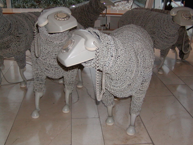 800x600, 109 Kb / овцы, телефоны, шнур