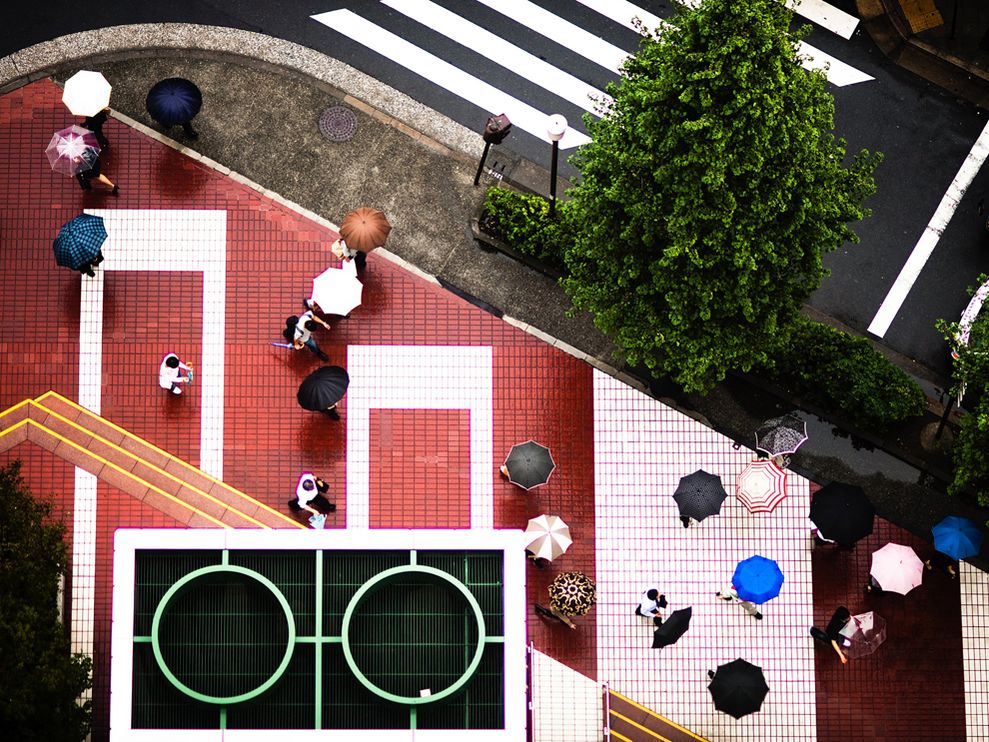 989x742, 198 Kb / улица, дождь, зонты, зебра, дерево, сверху, токио