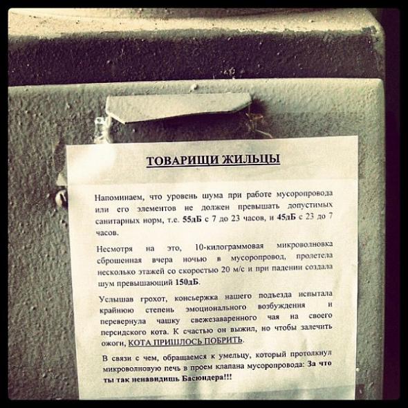 590x590, 72 Kb / басюндер, кот, микроволновка, мусоропровод, шум, объявление, консьерж, ненависть