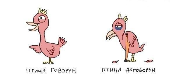 584x277, 17 Kb / птица, договорун