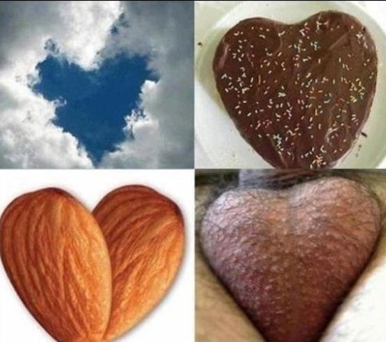 555x493, 50 Kb / сердечки