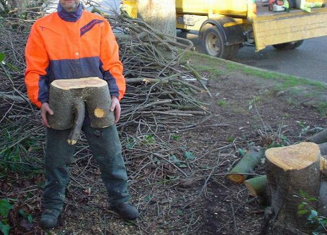 640x460, 109 Kb / пень, сук, хуй