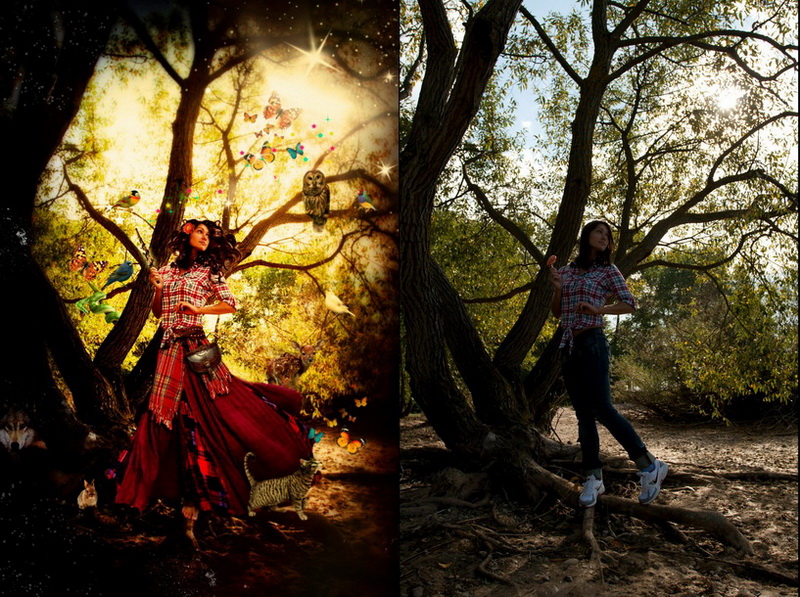 800x597, 282 Kb / фотошоп, девушка, краски, дерево