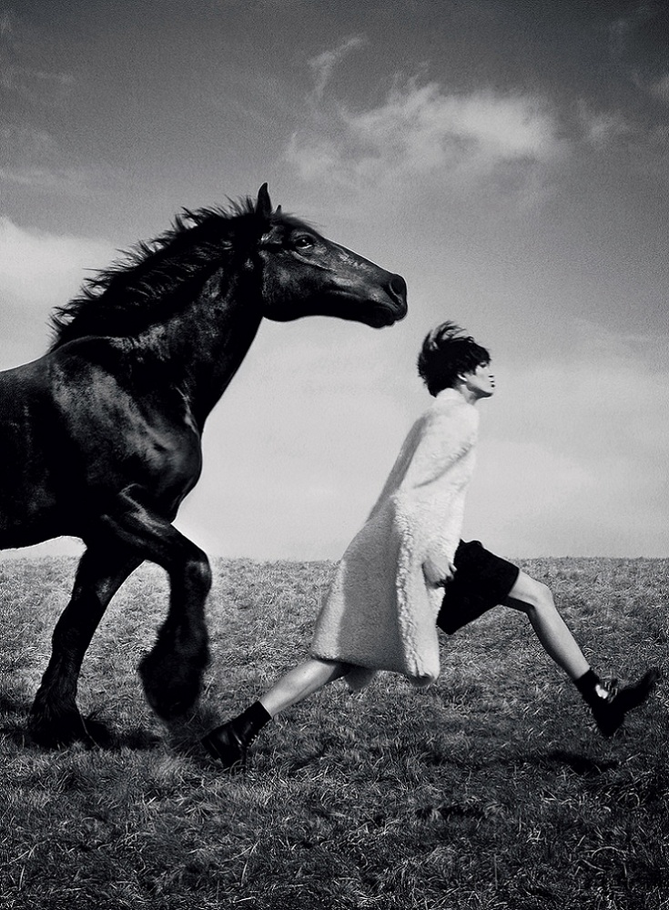 735x1000, 299 Kb / конь, черный, девушка, трава