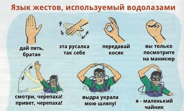 604x365, 57 Kb / инструкция, жесты, водолаз