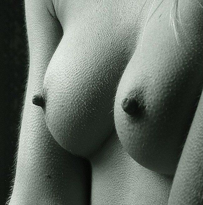 650x657, 115 Kb / соски, мурашки, волосы, ч/б