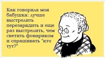 425x237, 21 Kb / бабушка, ружье, выстрел, кто там