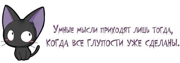 604x213, 20 Kb / кот