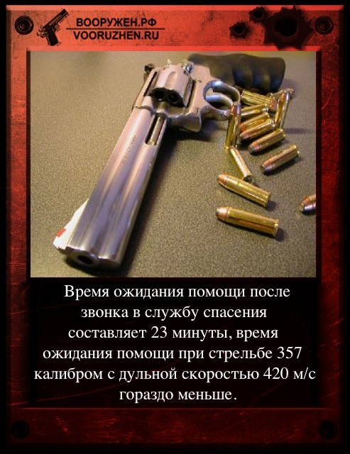 493x640, 118 Kb / револьвер, патроны, легалайз