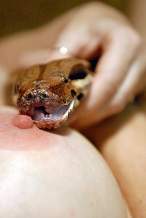 470x700, 51 Kb / сиська, сосок, рука, змея