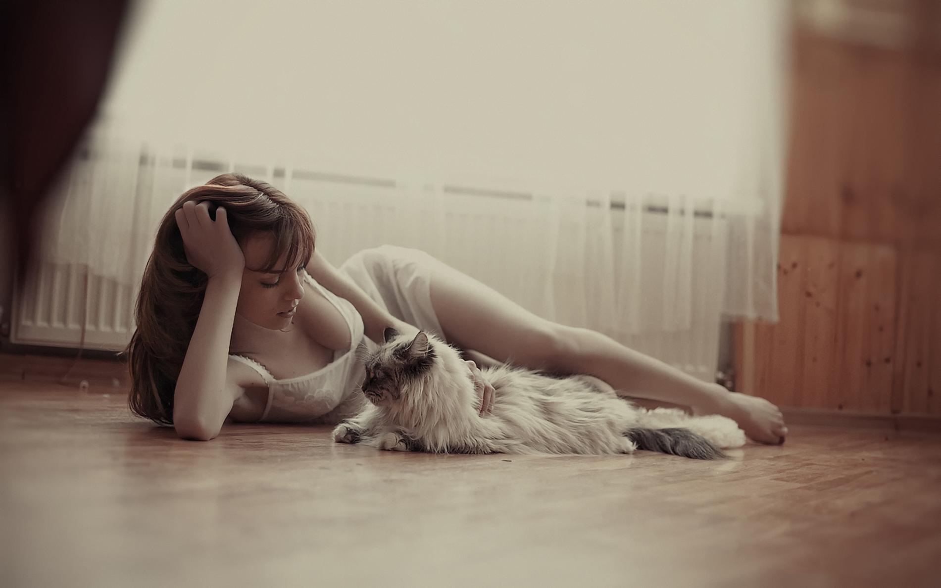 1901x1188, 115 Kb / сиськи, кошка, пол, неудобно