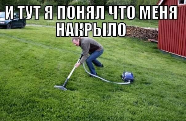 604x396, 42 Kb / трава, дрова, машина, пылесос, уборка, стена, кусты, джинсы, джемпер, мужик, накрыло