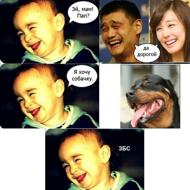 604x604, 68 Kb / комикс, семейка, лыба, собака