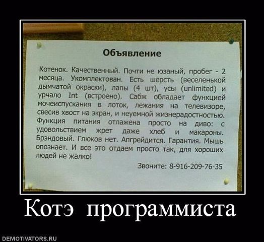 524x480, 45 Kb / демотиватор, котэ, программист, объявление