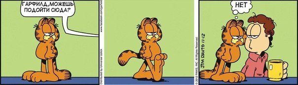 604x172, 38 Kb / кот, нет, комикс, гарфилд