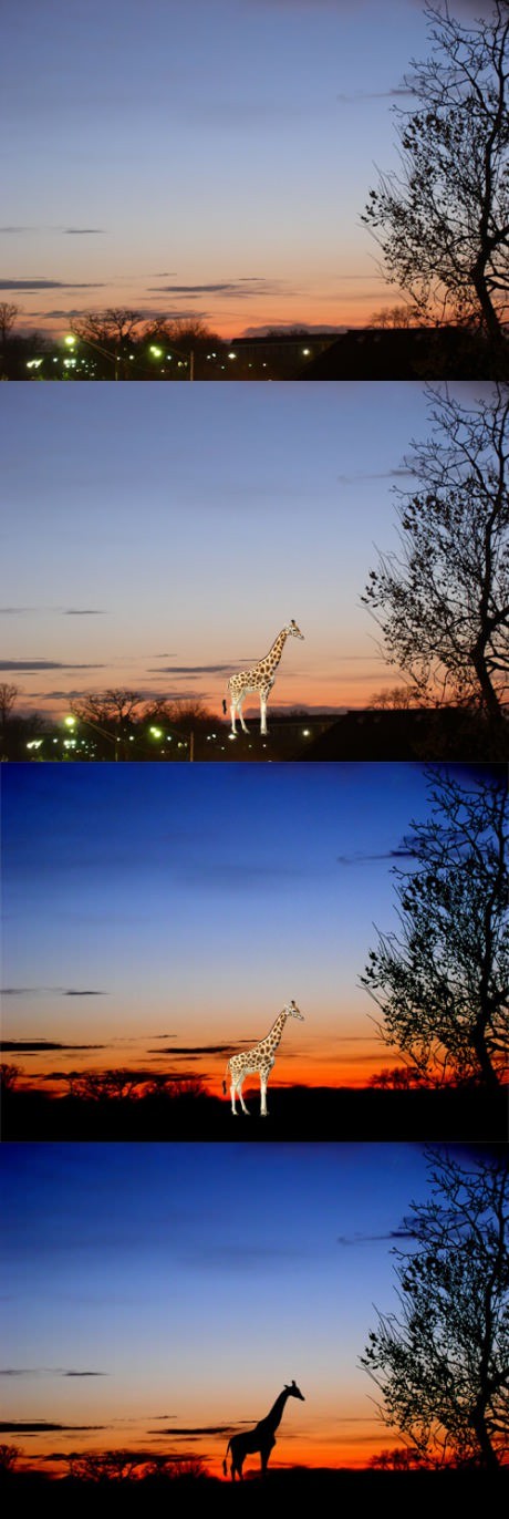 460x1372, 125 Kb / африка, жираф, подделка