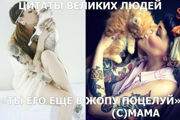 604x404, 42 Kb / цитаты, мама, кошки, кошка, котэ, девушка