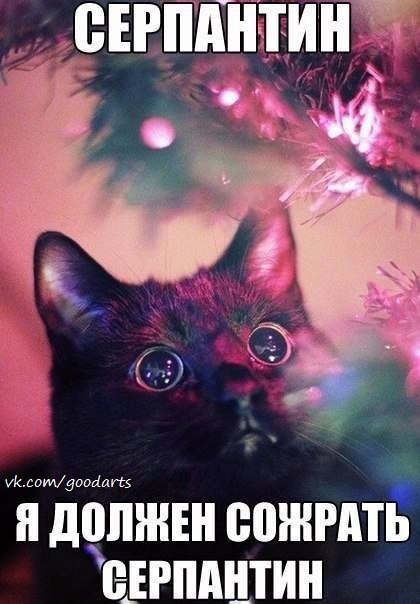 420x604, 44 Kb / кто, НГ, серпантин, глаза