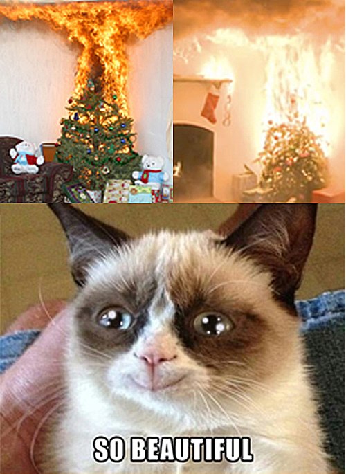 500x685, 80 Kb / кот, елка, горит