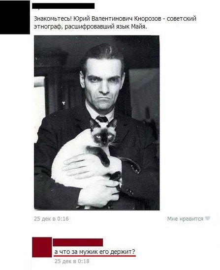 447x549, 38 Kb / мужик, кот