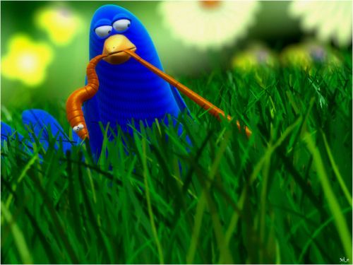 500x375, 32 Kb / птица, червяк