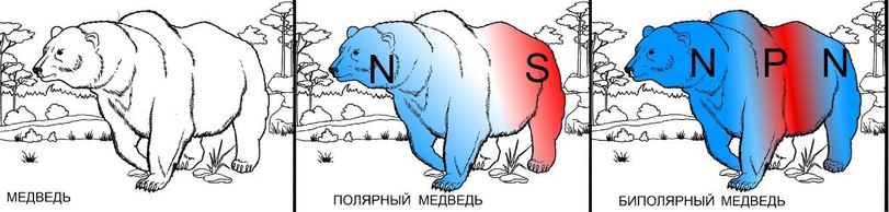 811x194, 53 Kb / медведь, физика, магнит