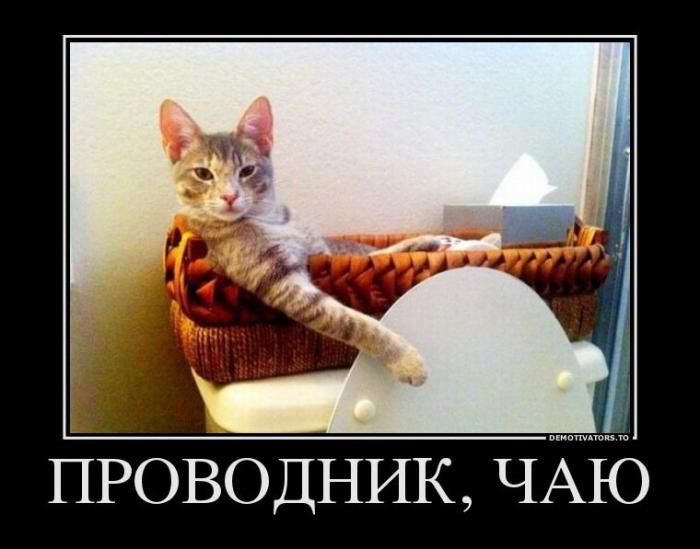 700x549, 50 Kb / проводник, чаю