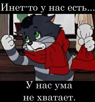 320x344, 145 Kb / Матроскин, интернет, ум