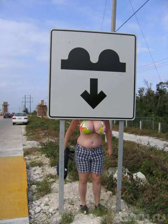 550x733, 35 Kb / дорога, знак, клетка