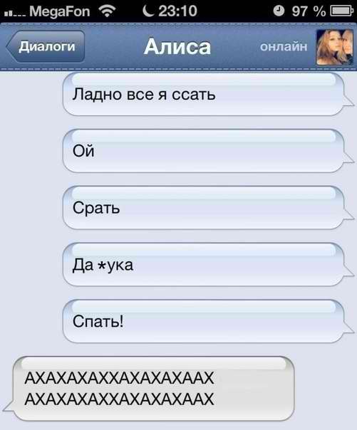 501x604, 29 Kb / ссать, срать, спать, сообщение, переписка