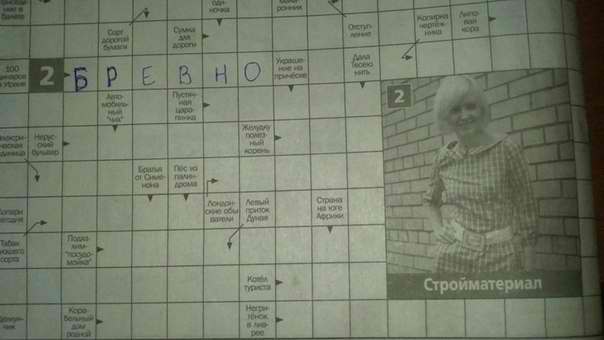 604x340, 21 Kb / бревно, сканворд, девушка, кроссворд