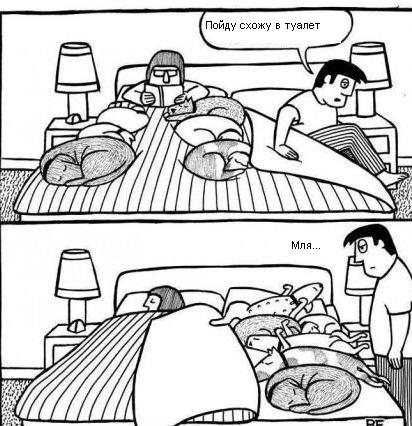 412x426, 67 Kb / кровать, одеяло, собаки