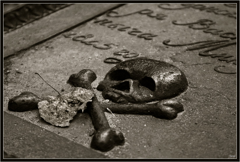 824x557, 146 Kb / череп, кости, листик