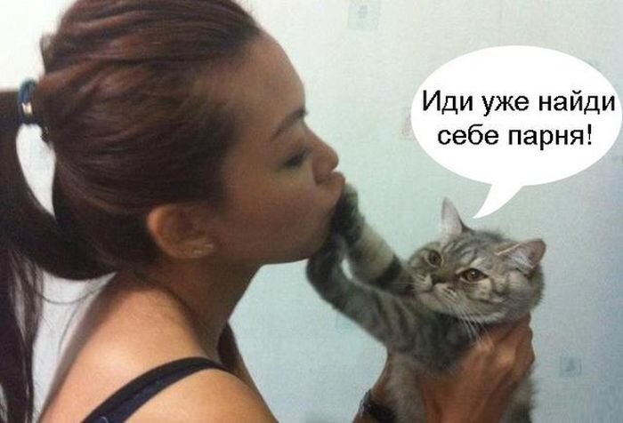 700x476, 44 Kb / кот, недовольство, девушка