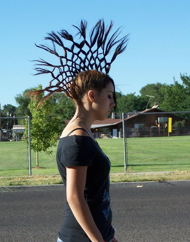 628x800, 214 Kb / прическа, ирокез, девушка, панк