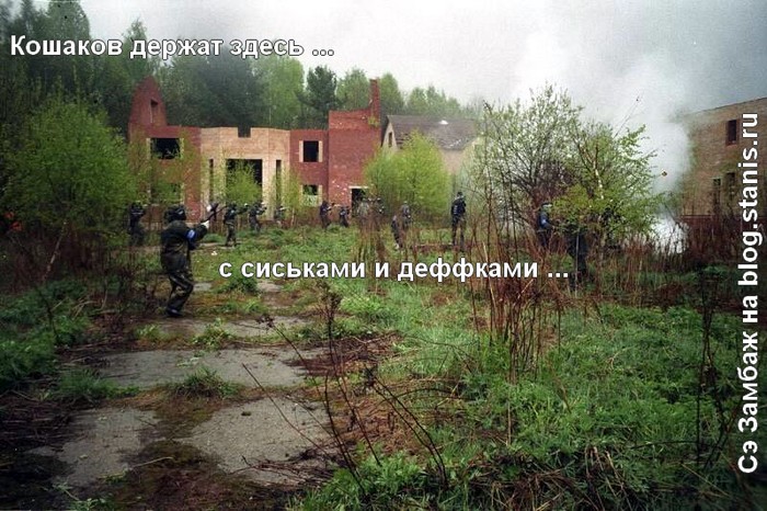 700x466, 127 Kb / сиськи, девки, блог