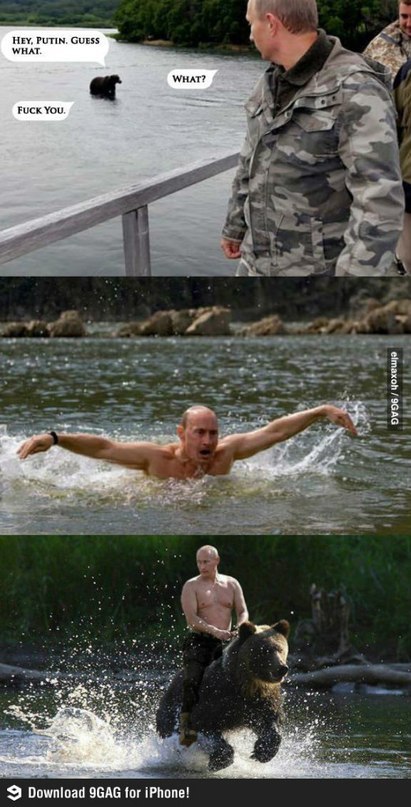 411x807, 87 Kb / путин, медведь