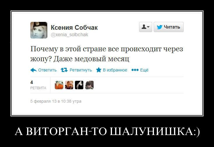 734x504, 76 Kb / собчак, твиттер, виторган, медовый месяц, демотиватор