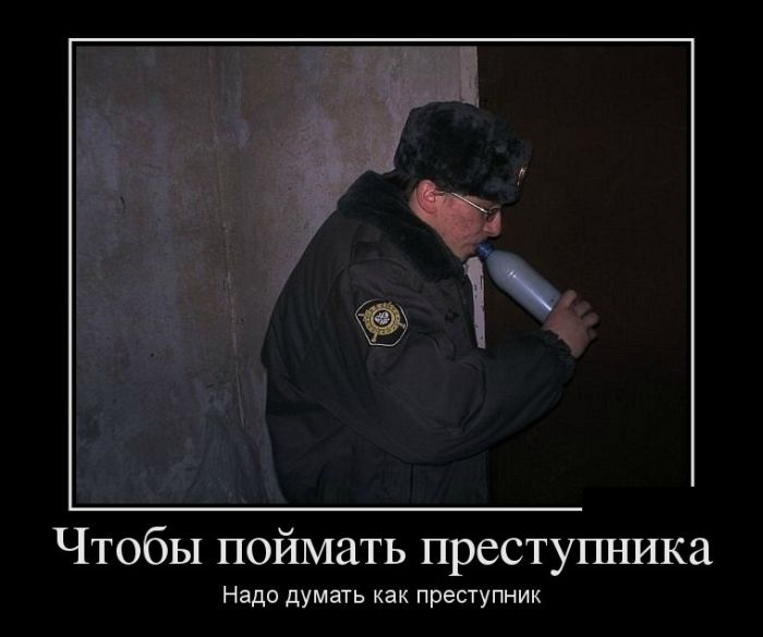 700x585, 37 Kb / полиция, бульбик, трава