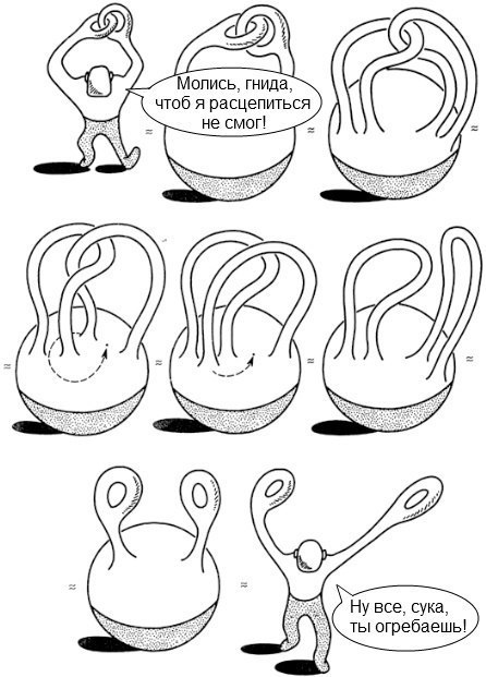 446x621, 65 Kb / топология