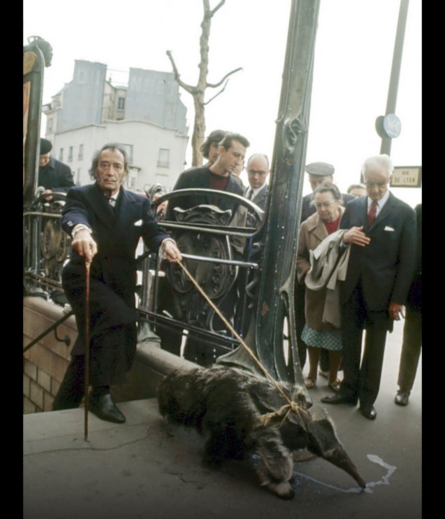 1536x1793, 199 Kb / Сальвадор Дали, муравьед