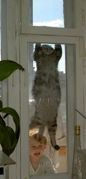 300x627, 33 Kb / кот, окно, ребенок