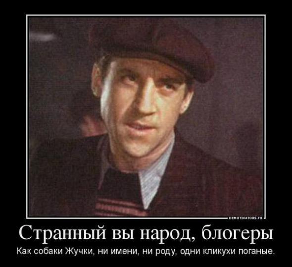 590x539, 36 Kb / блог, демотиватор, жучка, ники