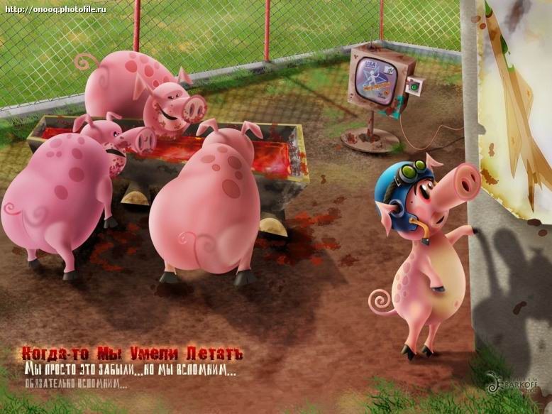 778x583, 91 Kb / свиньи, летчик