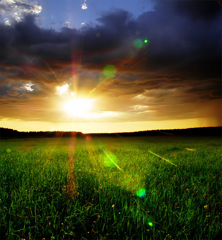 740x800, 148 Kb / небо, облака, солнце, поле, пейзаж