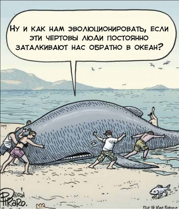598x699, 142 Kb / кит, эволюция, карикатура, море, пляж