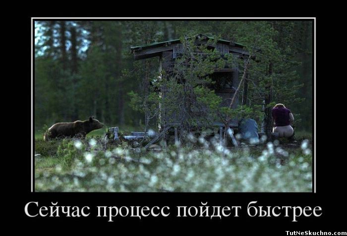 700x477, 72 Kb / медведь, лес, туалет, нежданчик