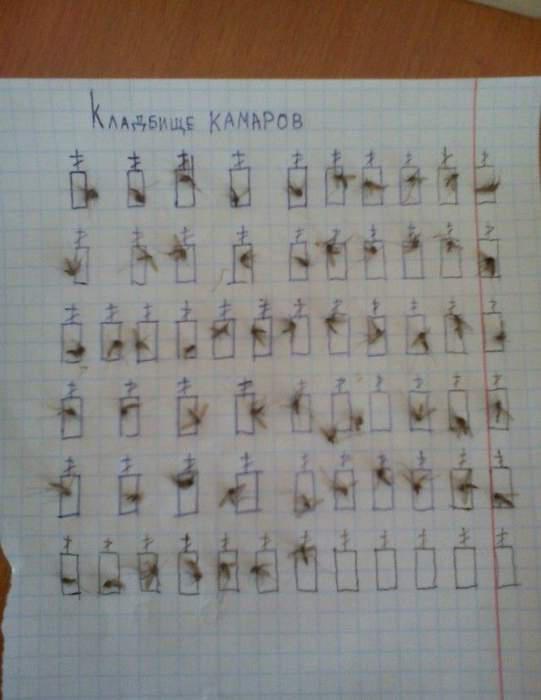 541x700, 32 Kb / комары, кладбище, лист, сезон открыт